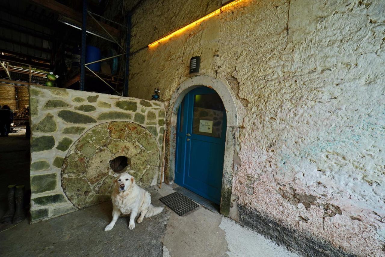 Bockholtz Room In Farmhouse Berkel מראה חיצוני תמונה